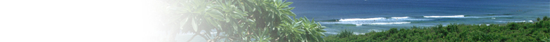 �ΐ쌧�Ń��O�n�E�X�E�c�[�o�C�t�H�[�i2�~4�j�����Z���̊�����C�x���g���